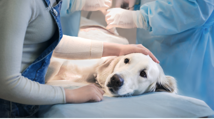 Essa é, com certeza, a melhor decisão!