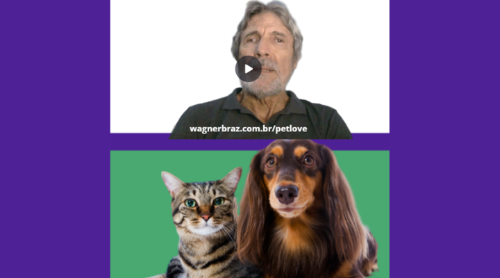 Amor é sentimento, cuidado é Atitude!